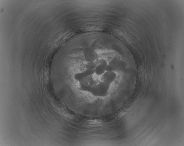 X0000077360741200611031846