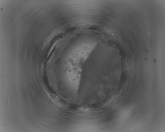 X0000077360742200611031846