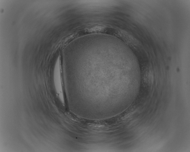 X0000077360743200611031846