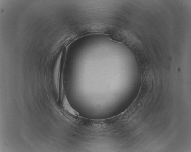 X0000077360744200611031846