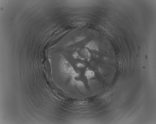 X0000077360745200611031846