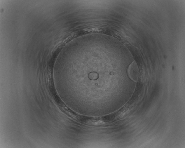 X0000077360747200611031846