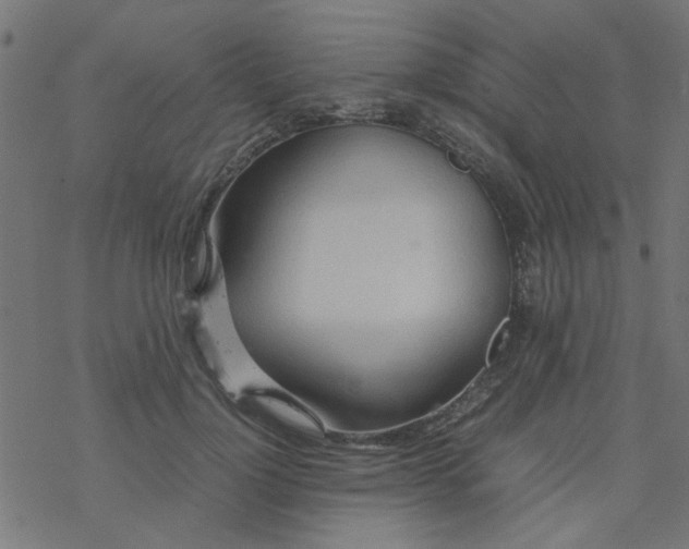 X0000077360748200611031846