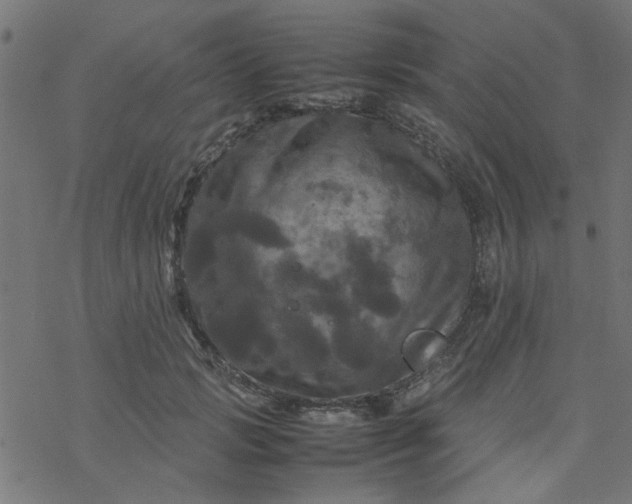 X0000077360749200611031846