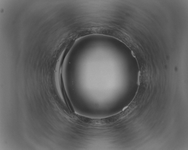 X0000077360750200611031846