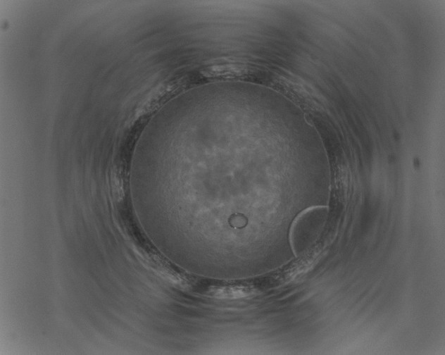 X0000077360751200611031846