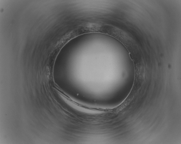 X0000077360752200611031846