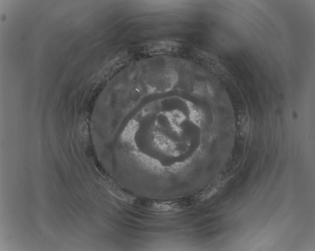 X0000077360753200611031846