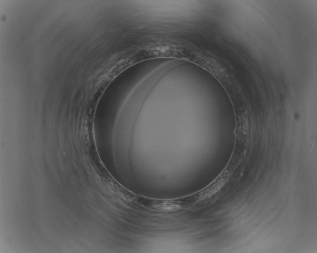 X0000077360754200611031846