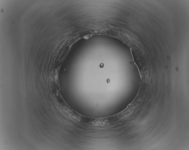 X0000077360756200611031846