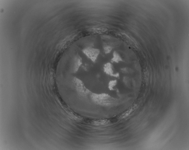 X0000077360757200611031846