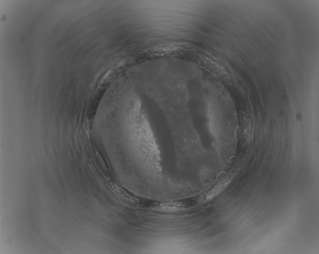 X0000077360758200611031846