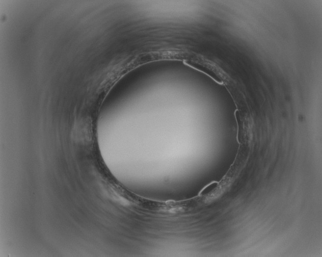 X0000077360760200611031846