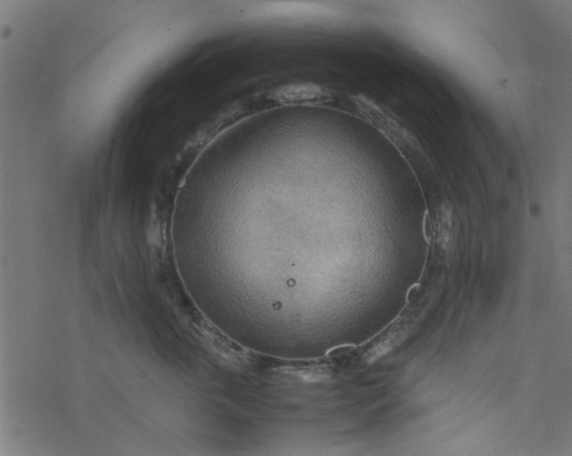 X0000077360763200611031846