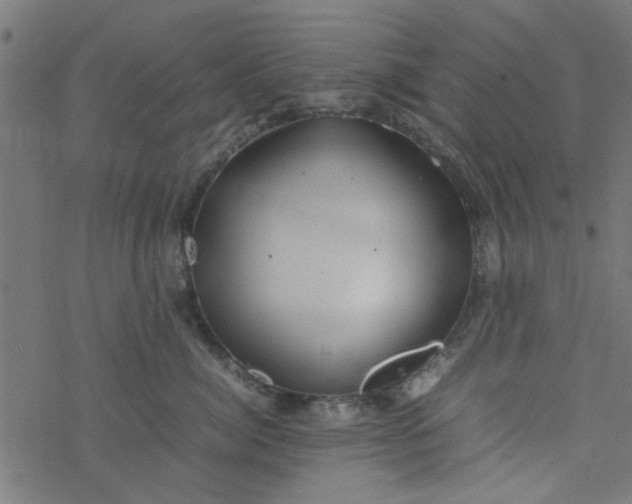 X0000077360764200611031846