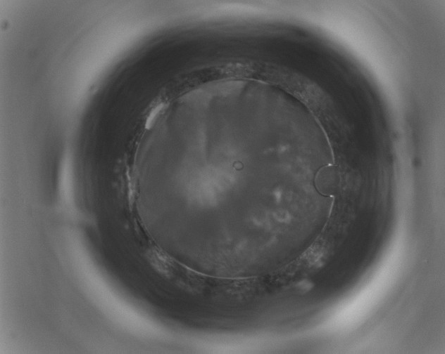 X0000077360765200611031846