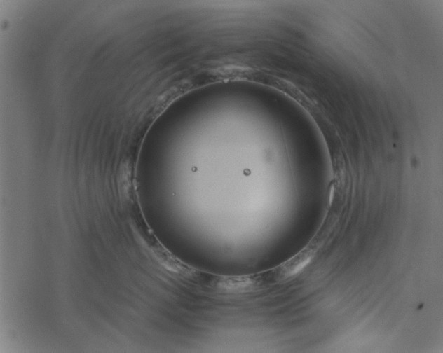 X0000077360767200611031846