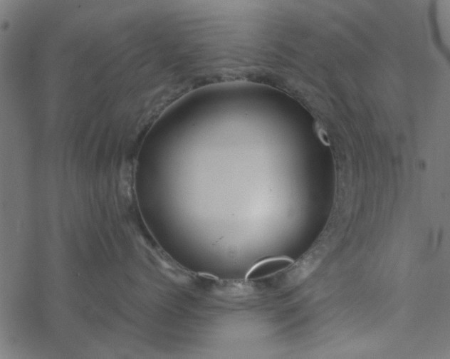 X0000077360768200611031846