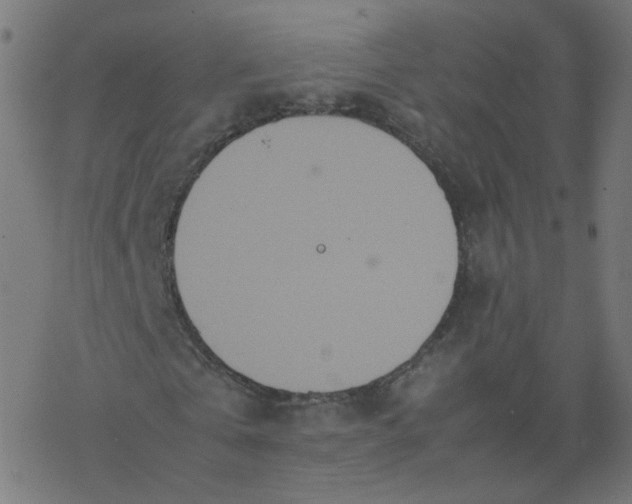 X0000077360769200611031845