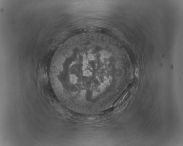 X0000077360771200611031845