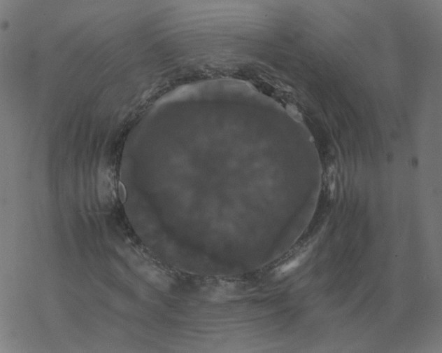 X0000077360772200611031845