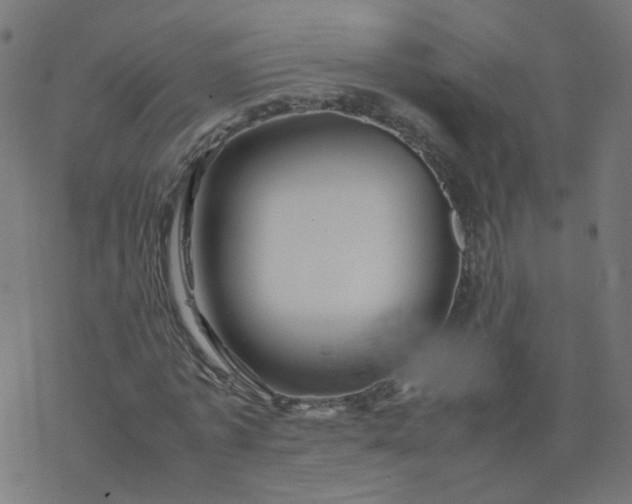 X0000077360773200611031845