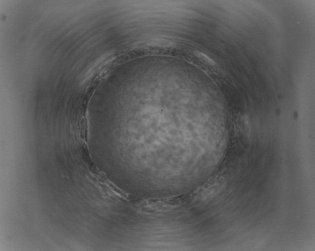 X0000077360774200611031845