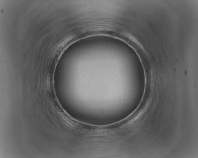 X0000077360777200611031845