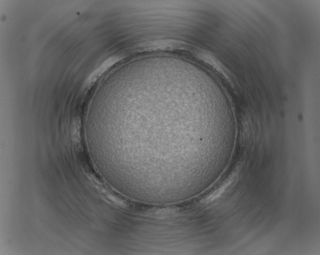 X0000077360778200611031845