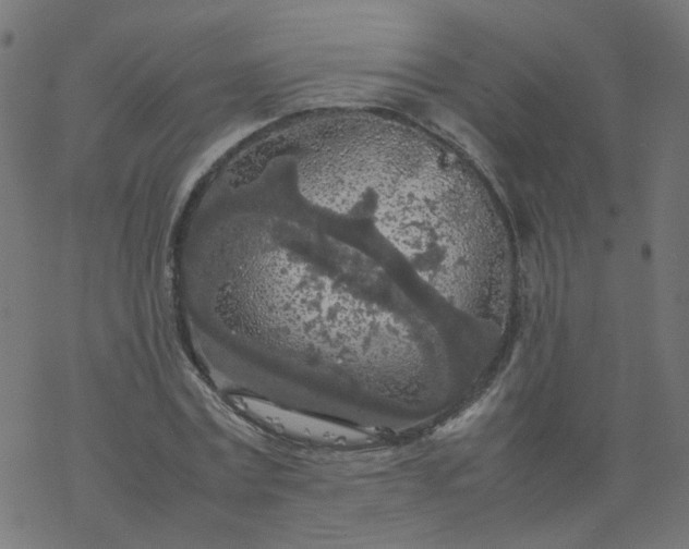 X0000077360779200611031845