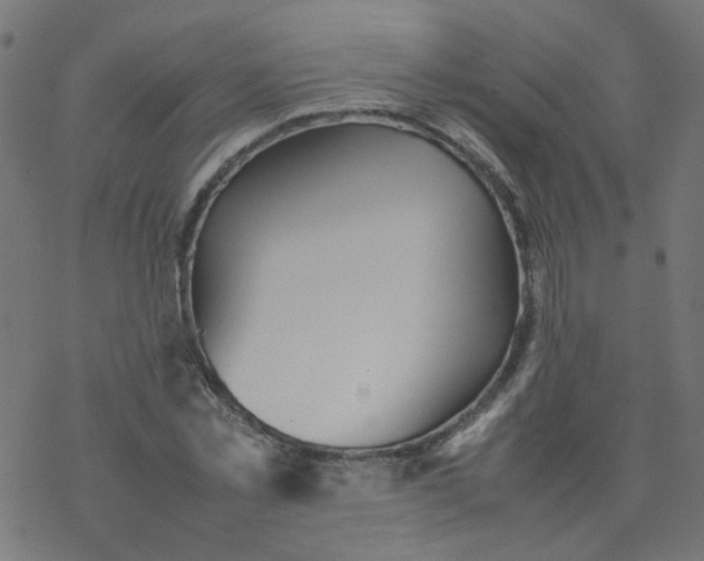 X0000077360781200611031845