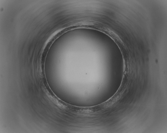 X0000077360784200611031845