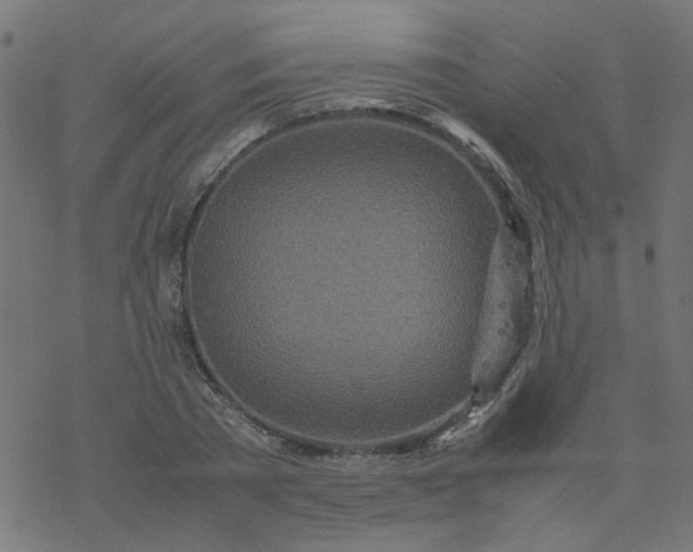 X0000077360785200611031845