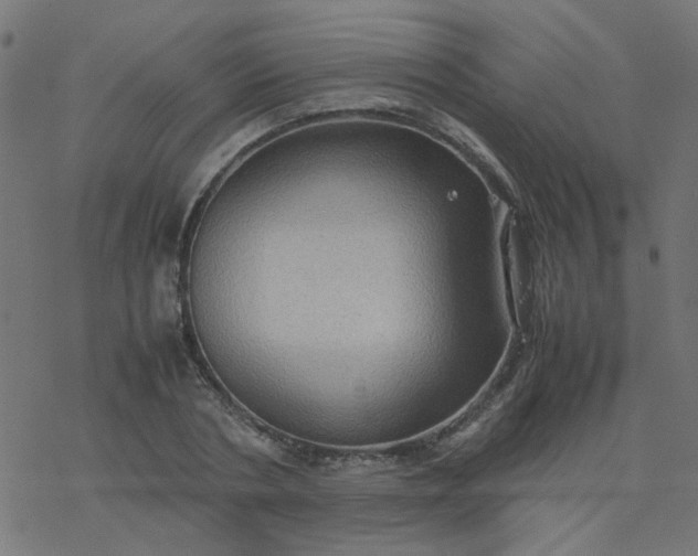 X0000077360786200611031845