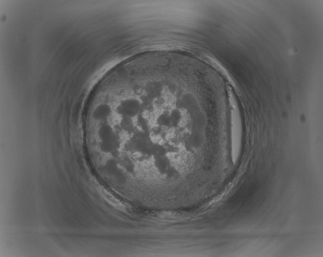 X0000077360787200611031845