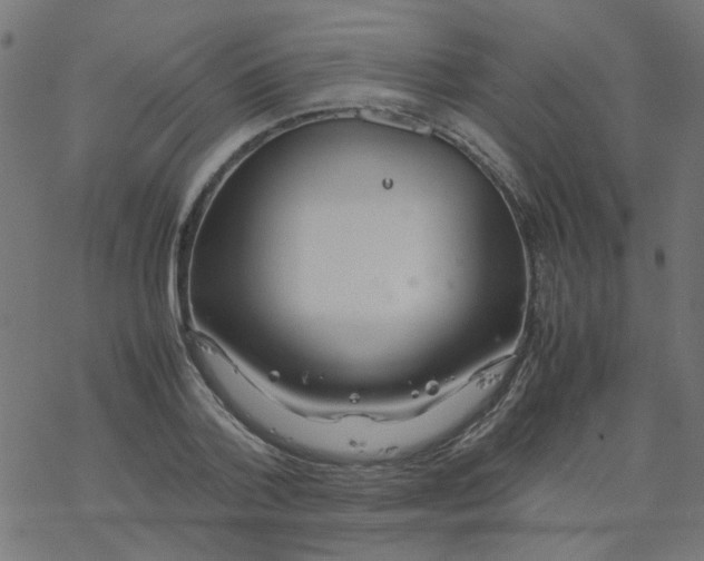 X0000077360788200611031845