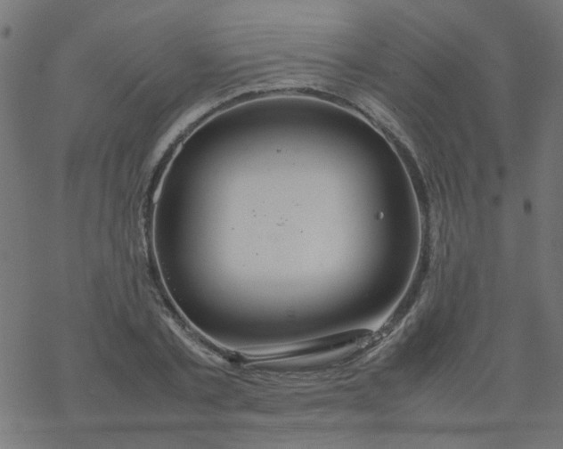 X0000077360789200611031845