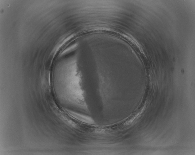 X0000077360790200611031845