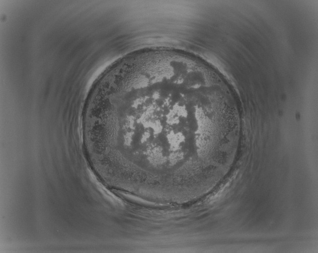 X0000077360791200611031845