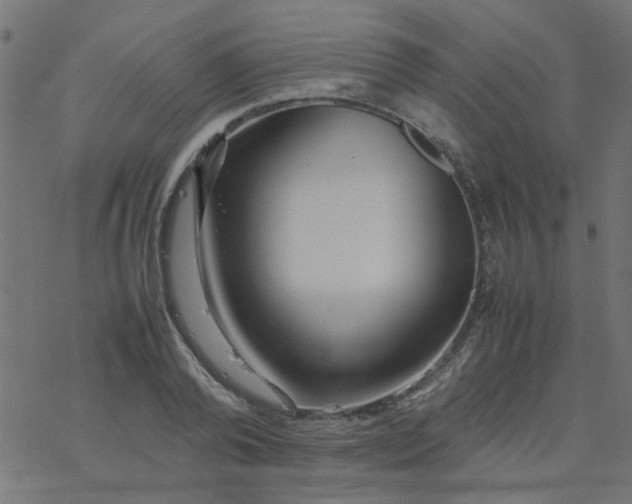 X0000077360792200611031845