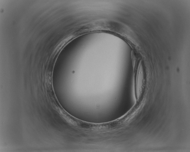 X0000077360793200611031845