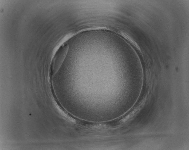 X0000077360797200611031845