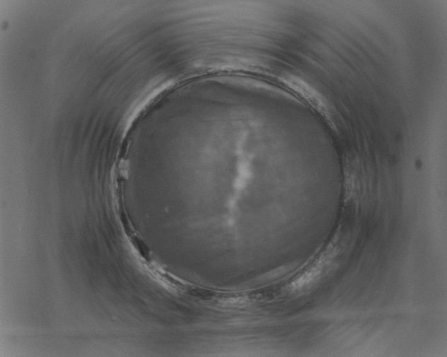 X0000077360798200611031845