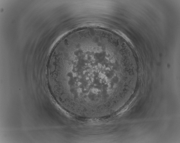 X0000077360799200611031845