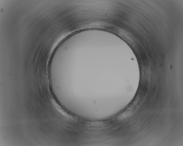 X0000077360800200611031845