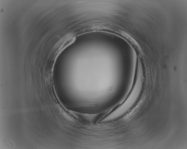 X0000077360801200611031845