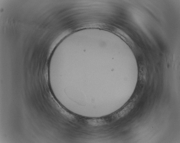 X0000077360804200611031845