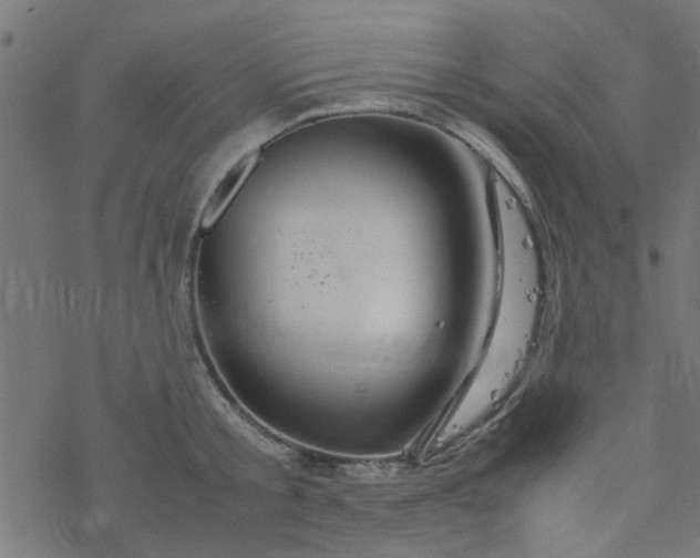 X0000077360805200611031845