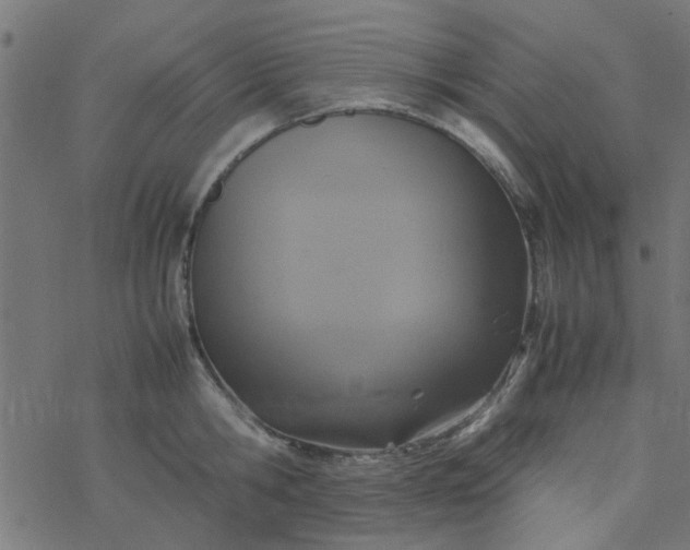 X0000077360806200611031845