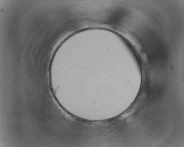 X0000077360807200611031845